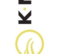 knzv logo staand